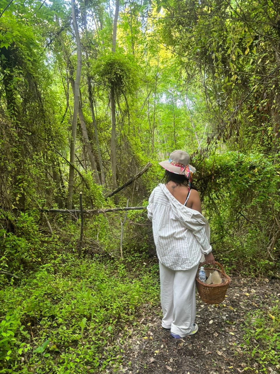 La Ecochacra (1)