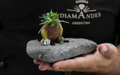 Diam’s Bistrot & Bar à Vin en Bodega DiamAndes – Almuerzos by Santiago Orozco Russo. 